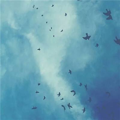 硬核破局，柔韧致远 | 装备智造...